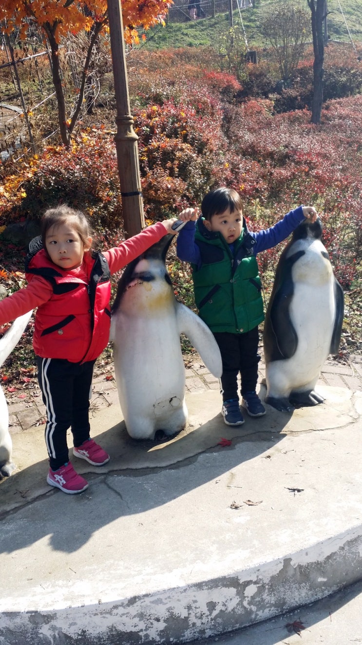 FILE 342 청주동물원 / 슬쌍디아빠 과거로의 산책(2009.11.20.~2019.11.20.) 육아일기
