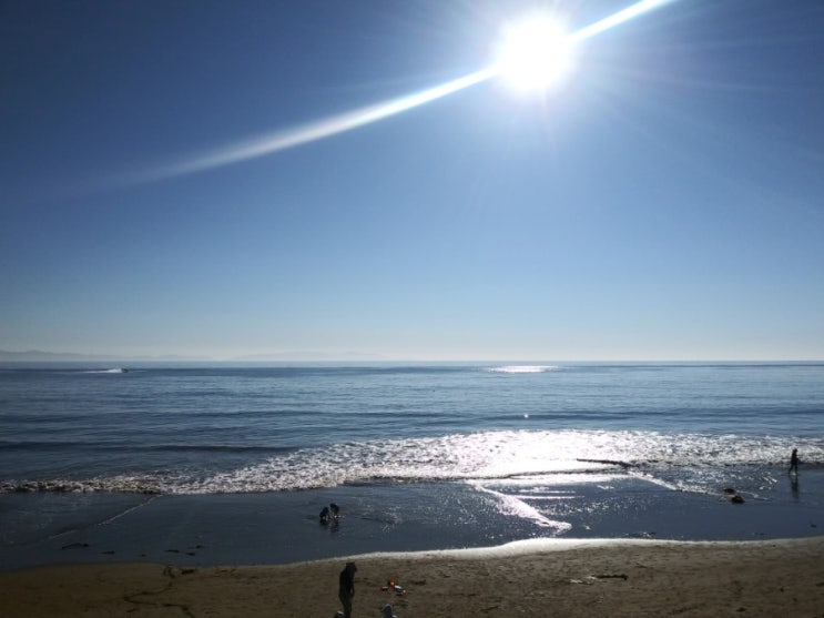  LA 주변 여행 8-Palos Verdes Drive 3-1 | Abalone Cove 아발로니 해변...가을바다 나들이...