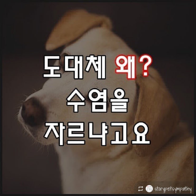 도대체 왜? 수염을 자르냐고요!