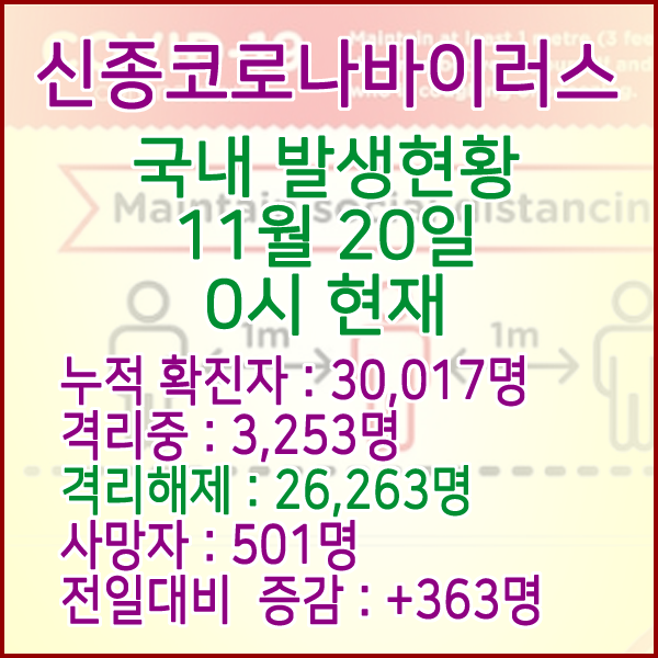  코로나19(코로나바이러스) 11월 20일 0시 국내(해외포함) 발병 30,017명 / 26,263명 완치 격리해제 / 사망자 501명