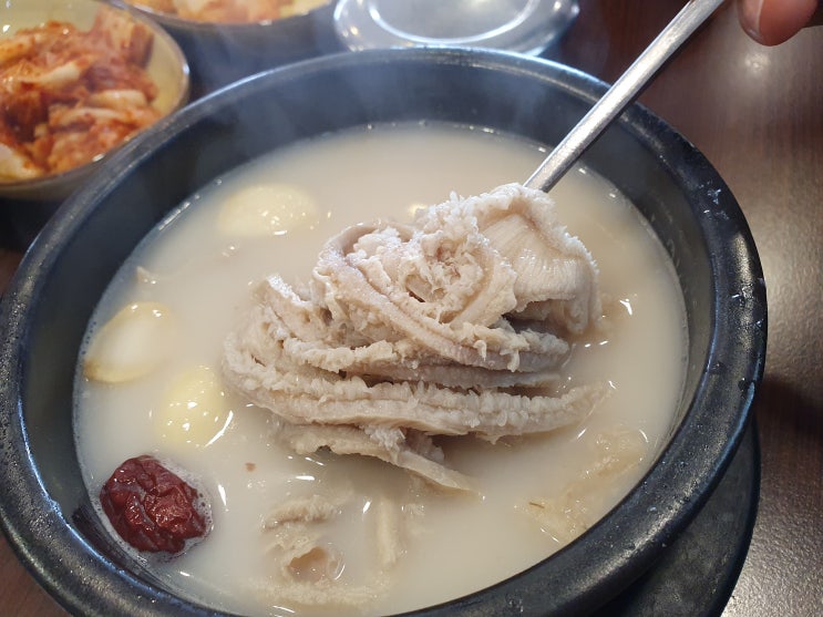  양천구 신정동 맛집 내장특곰탕과 냉면이 맛있었던 푸주옥