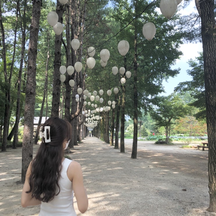 여름휴가 남이섬 여행(w지우리조트) 여름휴가 남이섬 여행(w지우리조트)
