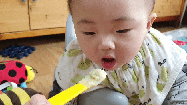  아베크파파 프랑스정통 수제이유식 / 수제이유식 & 아기간식