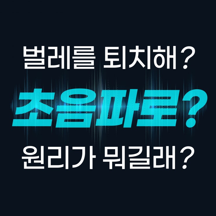  초음파로 정말 벌레 퇴치가 가능한 걸까요? 원리 알아봐요! 좋은 초음파퇴치기 고르는 법까지!