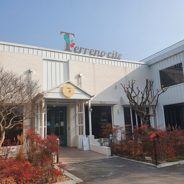  용인기흥 카페, 떼레노시떼 스페셜