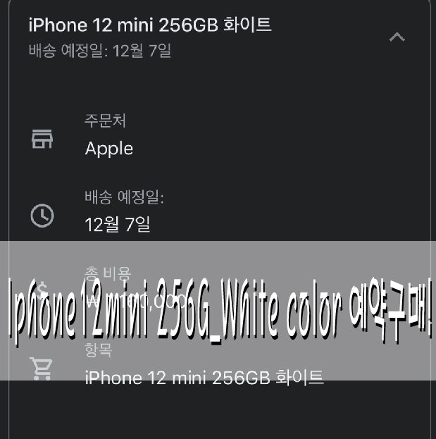 Iphone 12 mini 256G_White color 예약구매!