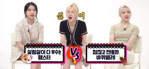 여자친구 멤버들의 바선생 vs 햄스터 토론 여자친구 멤버들의 바선생 vs 햄스터 토론