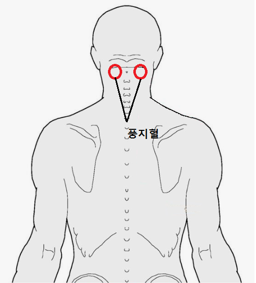 감기예방에 좋은 혈자리!! : 네이버 블로그