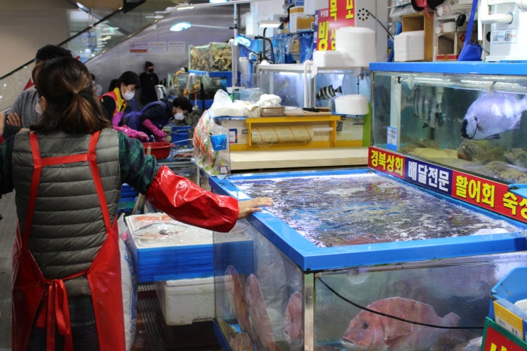  노량진수산시장맛집, 싱싱하고 저렴한 횟집 추천 "경북상회"