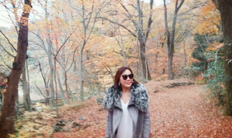  3박 4일 남도 여행 (순천 가볼만 한 여행지 추천)