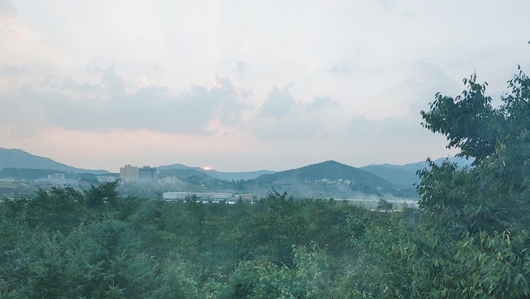  쾌한 부동산 썰 월세를 알아보고 다닌 오늘 유쾌한 분양킴