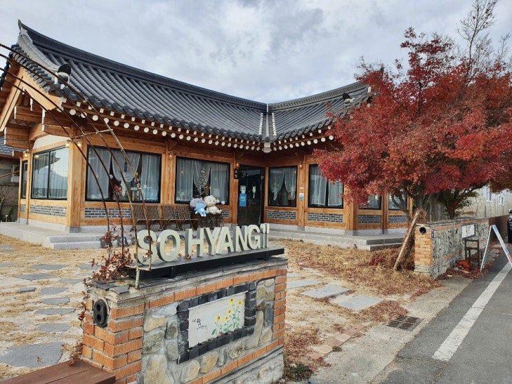 황리단길 경주맛집인지 모르고 한옥에 끌려 들어 가 반하게된 파스타와 돈까스 황리단길 경주맛집인지 모르고 한옥에 끌려 들어 가 반하게된 파스타와 돈까스