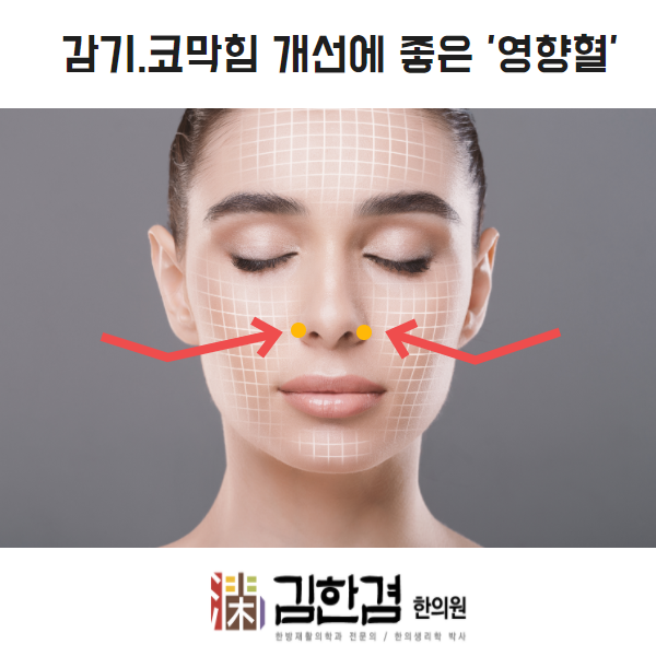  [환절기 건강관리] 감기, 코막힘에 도움이 되는 혈자리'영향혈 지압법'