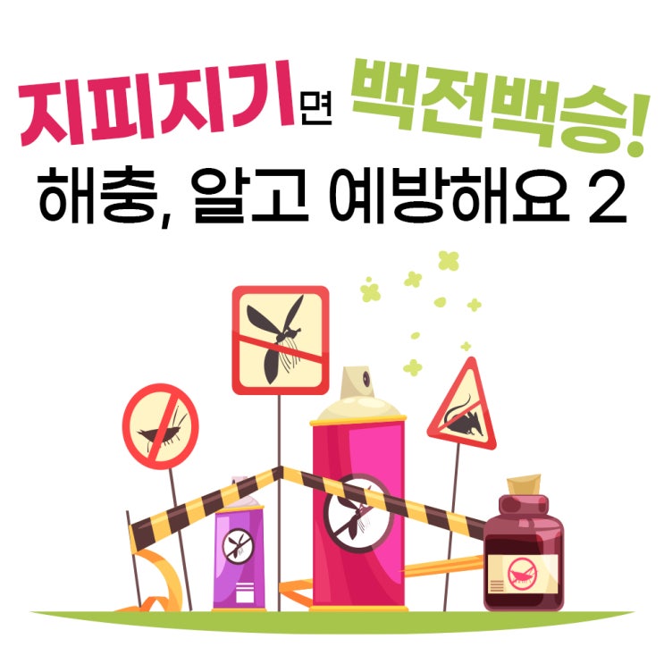  '이 벌레 뭔가요?' 적을 알아야 이길 수 있다! 집에 출몰하는 단골손님 알아봐요(벌레 사진 주의)-2편