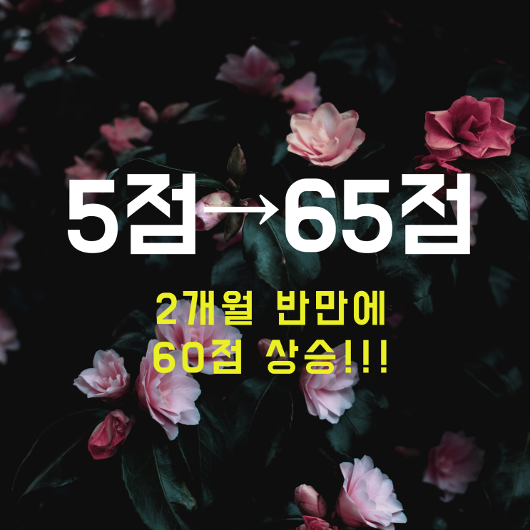  5점 ️ 65점공무원 영어과외 [영어에 끌리다] 후기