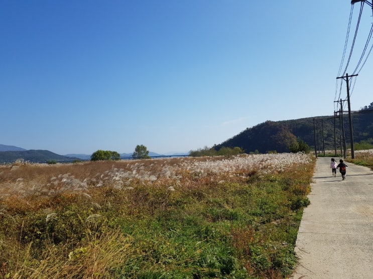  수변공원 산책나들이