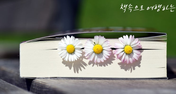  중독의 시대: 디지털 중독 필요하지만 악덕인 존재