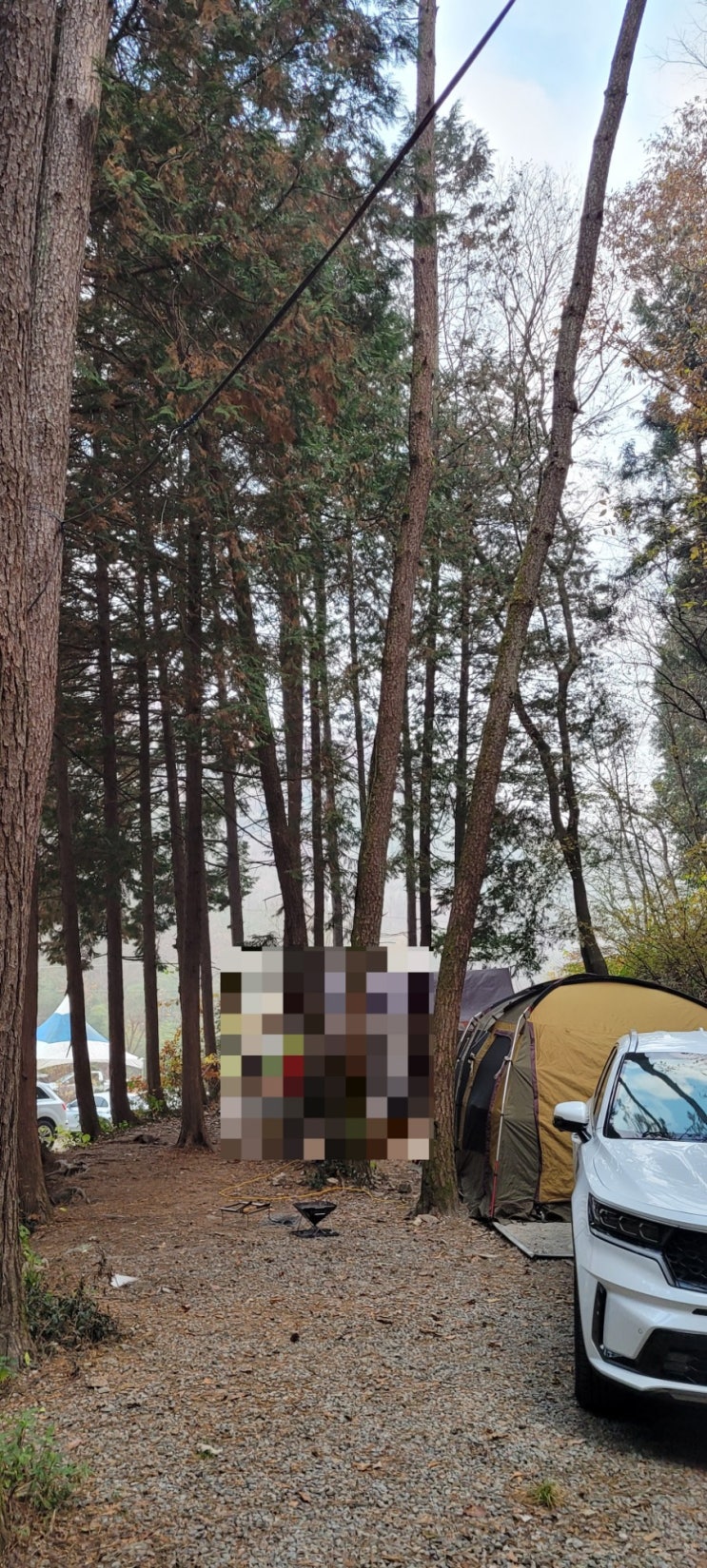  [캠핑후기] 편백향이 좋은 장성 편백힐 치유의 숲 캠핑장