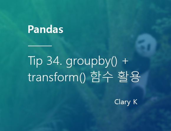 [파이썬] 판다스(pandas) 팁34. groupby()와 transform() 함수로 비행기 승객 수 합계와 비중 자체적으로 구하기