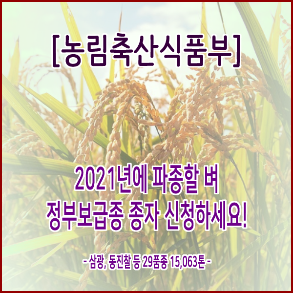  [농림축산식품부] 2021년에 파종할 벼 정부보급종 종자 신청하세요!