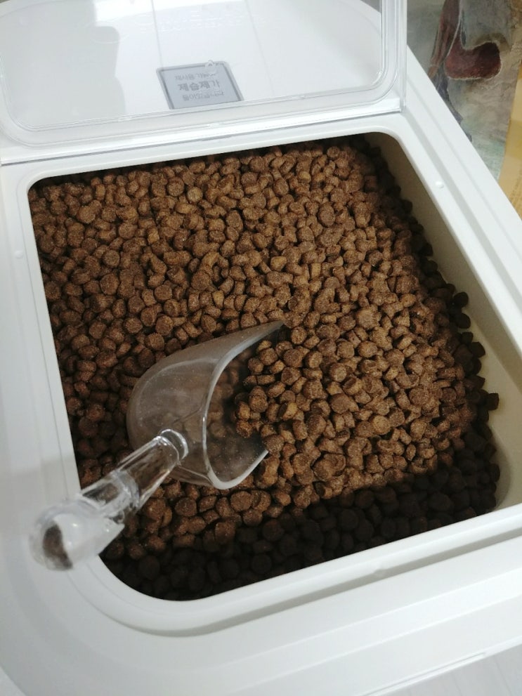 씨밀렉스 라이스키퍼 쌀통 10kg+1300ml 잡곡통 2p 구매 후기 씨밀렉스 라이스키퍼 쌀통 10kg+1300ml 잡곡통 2p 구매 후기