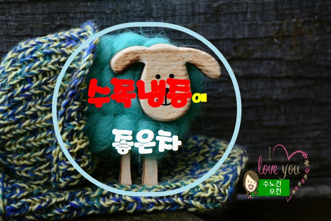  수족냉증에 좋은 차를 소개합니다