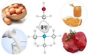  간호학약물 항콜린제 부교감신경차단제 적응증부작용:콜린성길항제 간호중재