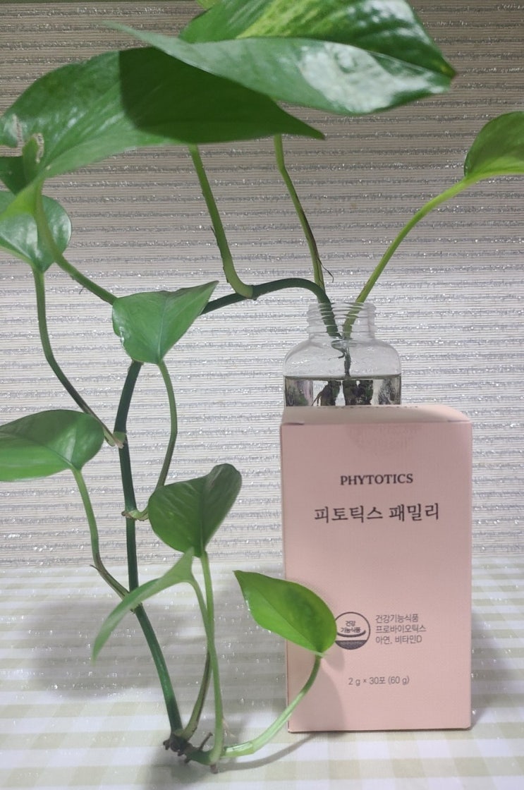  약사가설계한100억 생유산균 피토닉스패밀리 유산균