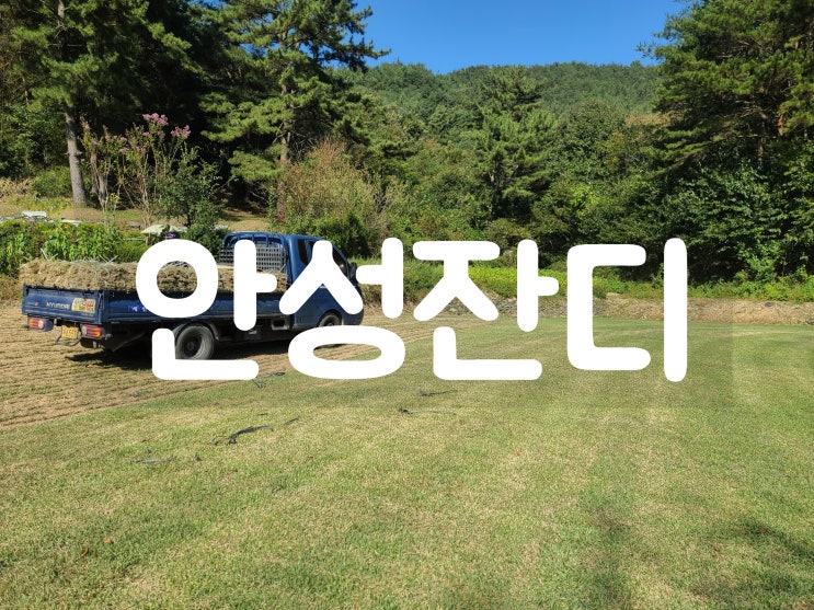  안성 잔디 신축 전원주택으로
