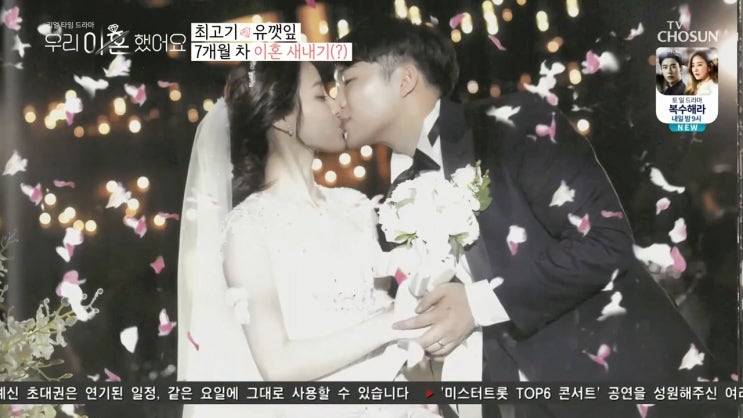 최고기 유깻잎 이혼사유 모든것 최고기 유깻잎 이혼사유 모든것