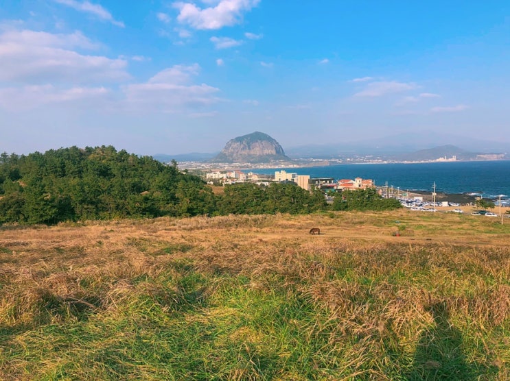  제주 숨은 사진 명소 올레길 10코스와 다크투어리즘 섯알오름