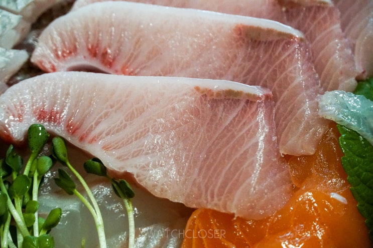  노량진수산시장 맛집 푸른바다 모듬회 테이크아웃 후기