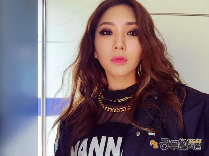 자이언트핑크 나이 남편 직업 결혼 고향 노래 성형전후 이용진 자이언트핑크 나이 남편 직업 결혼 고향 노래 성형전후 이용진
