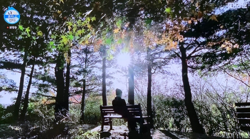 나혼자산다 카이! 나이부터 세련된 엑소 카이 집! 나혼산 카이 공원에서 힐링을~!