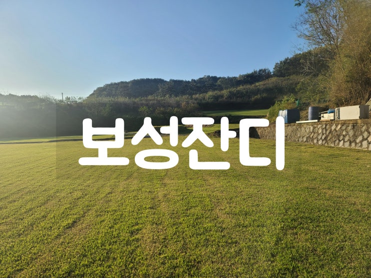  녹차 수도 보성 잔디 구매
