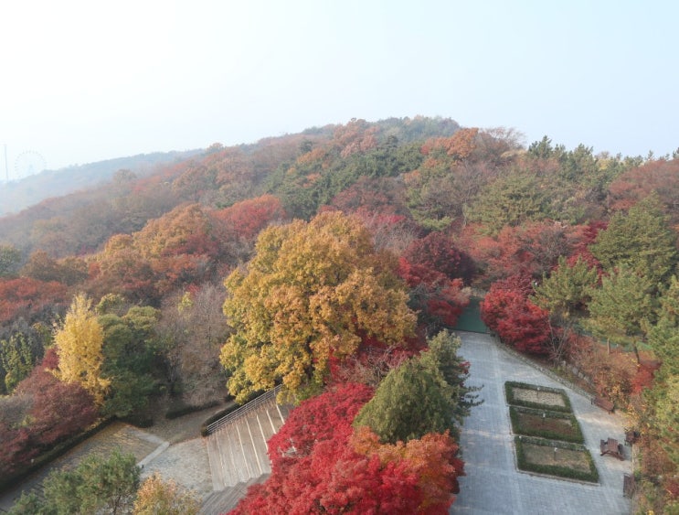  뚜벅이를 위한 인천 가볼 만한 곳! 월미공원, 월미산 다녀오다!