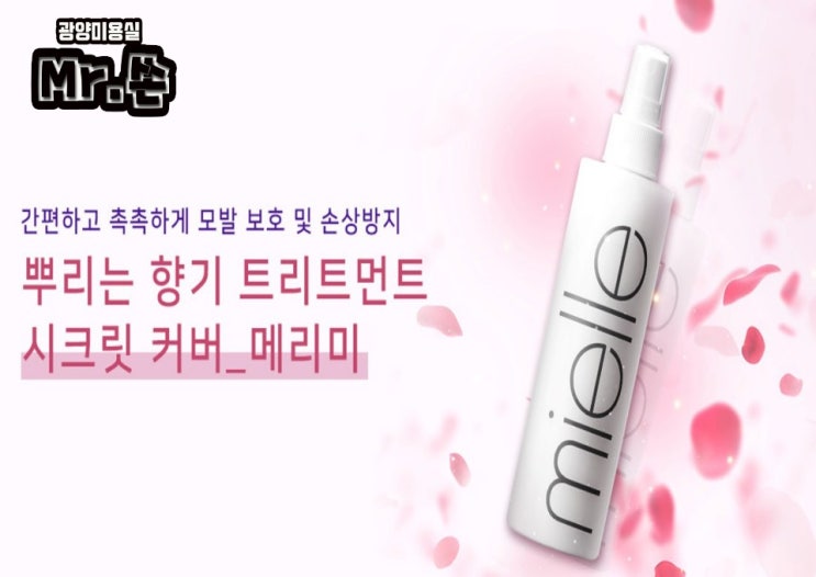  Mr.쏜 제품추천