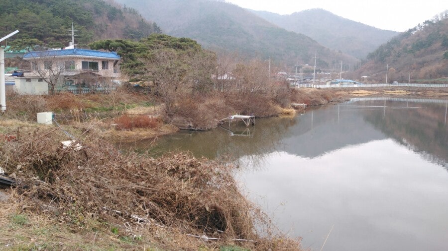 오독지 사진 3