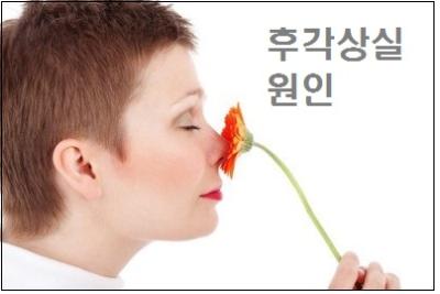  냄새가 안나요 후각상실 원인