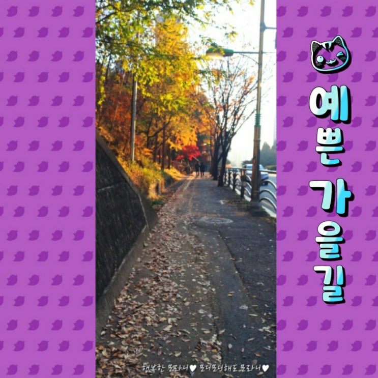  아침 걸어서 출근하기 인증