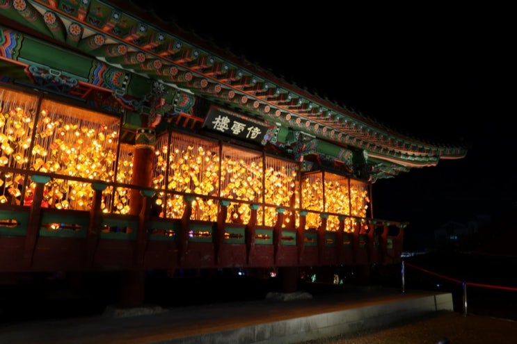  [강릉 가볼 만한 곳] 디지털 아트 '강릉 문화재 야행' 11월 축제 후기