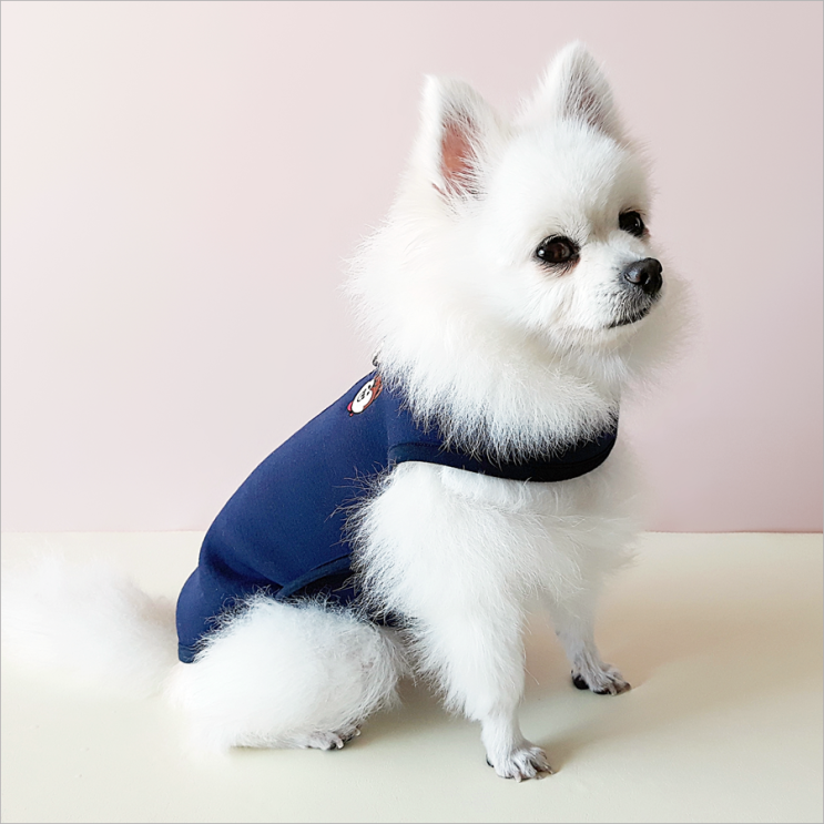  강아지 분리불안 증상 래핑찰리 허그미셔츠