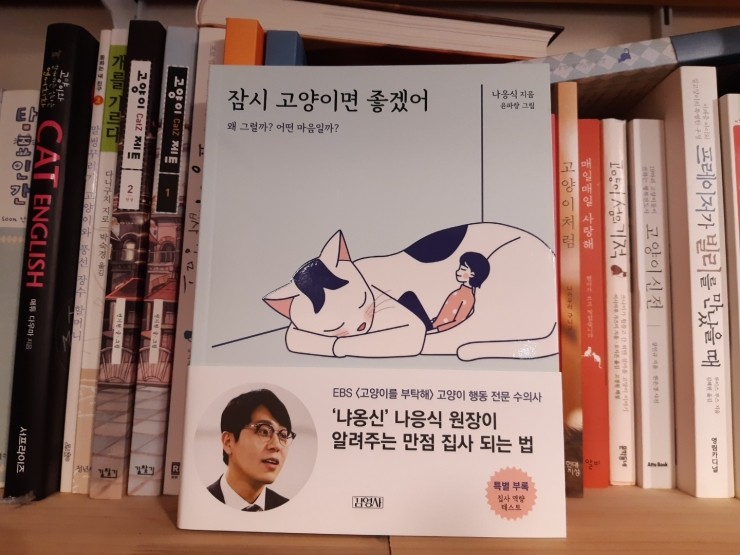 잠시 고양이면 좋겠어 / 나응식