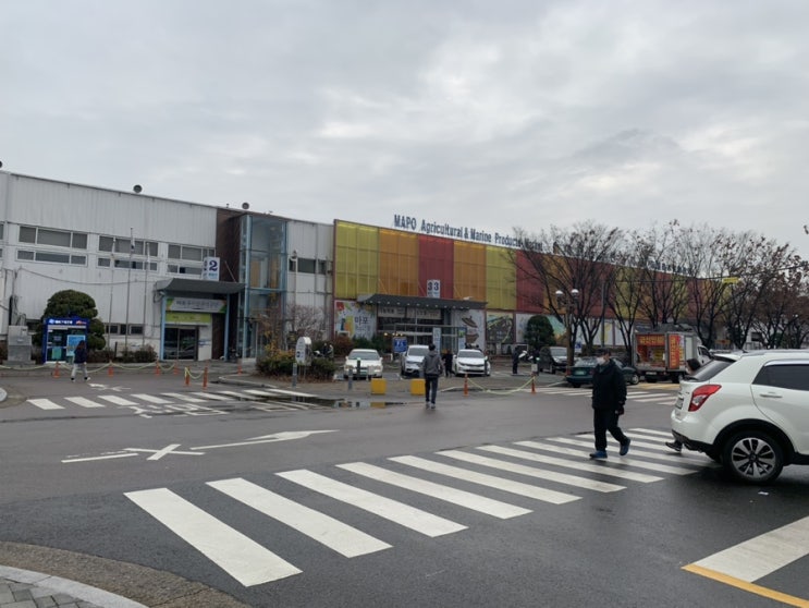  [마포 농수산물 시장]레드 킹크랩 철이 왔다!다농마트는 덤