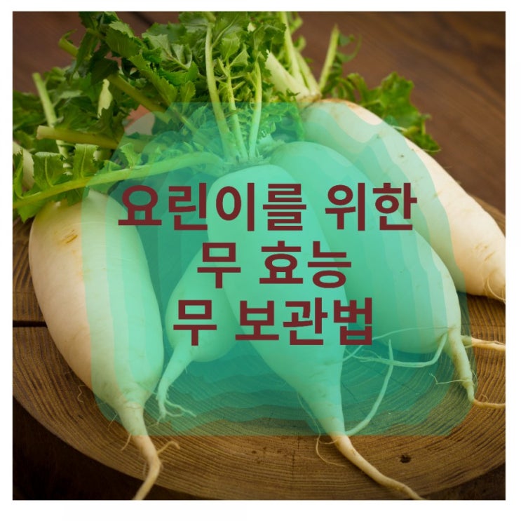 요린이를 위한  무 효능과 무 보관법 알려드릴게요