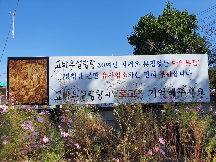 설렁탕 맛집::30년 전통 양평 고바우 설렁탕