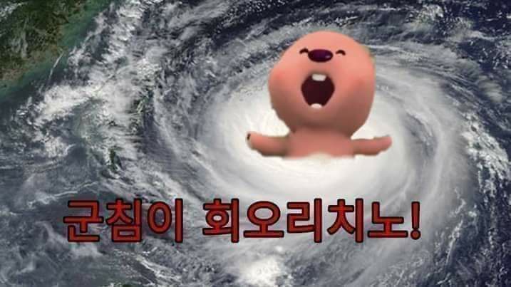  줍줍한 루피짤 공유합니둥