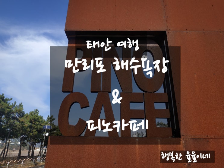  [2020.11.22 만리포해수욕장] 초겨울 만리포해수욕장 그리고 피노카페 여행