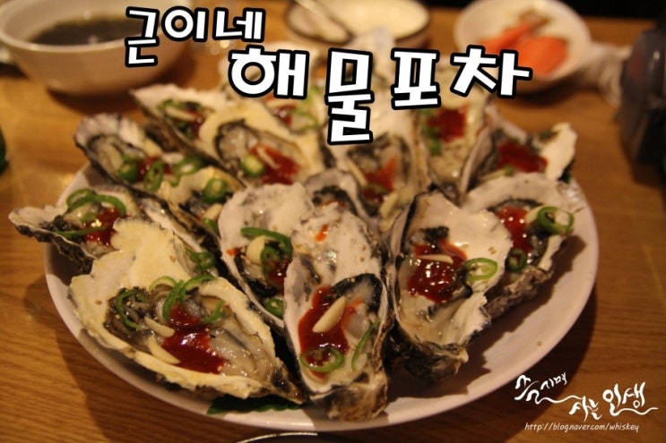  [양재역 술집] 양재역 포차 추천하는 근이네 해물포차