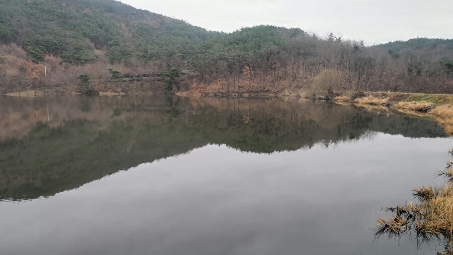 오독지 사진 1